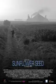 Sunflower Seed_peliplat