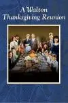 A Walton Thanksgiving Reunion_peliplat