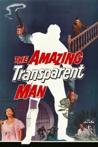 The Amazing Transparent Man_peliplat