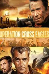 Operation Cross Eagles_peliplat