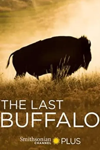 The Last Buffalo_peliplat