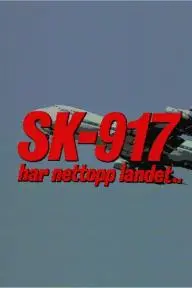 SK-917 har nettopp landet.._peliplat