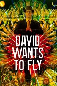 David Wants to Fly_peliplat