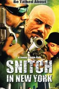Snitch in New York_peliplat