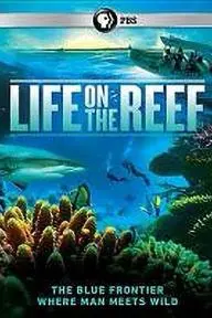 Life on the Reef_peliplat