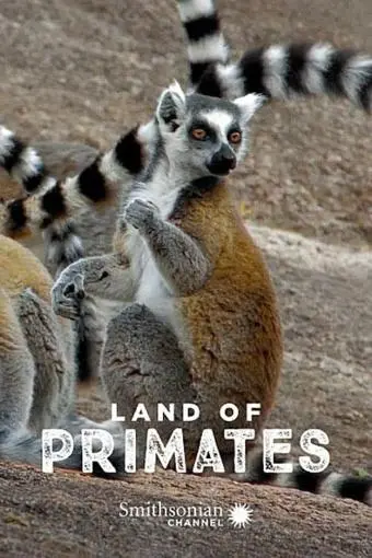Land of Primates_peliplat