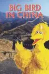 Big Bird in China_peliplat