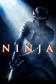 Ninja_peliplat