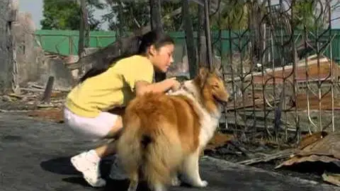 ตัวอย่าง มะหมา 4 ขาครับ Mid Road Gang trailer