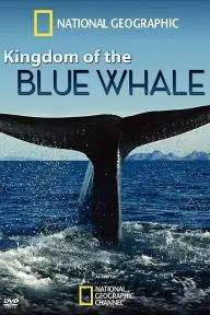 Kingdom of the Blue Whale_peliplat