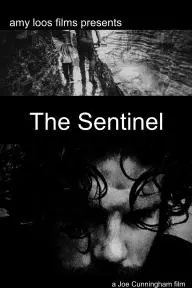 The Sentinel_peliplat