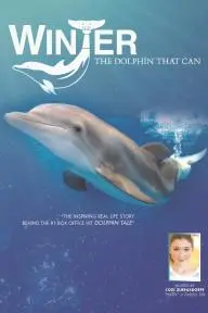 Winter, the Dolphin That Can_peliplat
