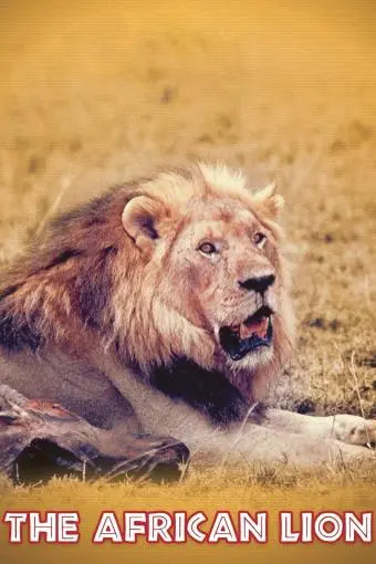 The African Lion_peliplat