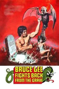 Bruce Lee Fights Back from the Grave_peliplat