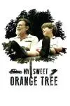 My Sweet Orange Tree_peliplat