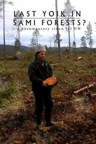 Last Yoik in Saami Forests?_peliplat
