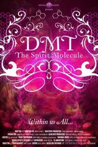 DMT: The Spirit Molecule_peliplat