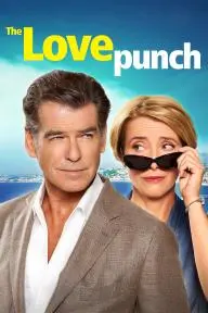 The Love Punch_peliplat