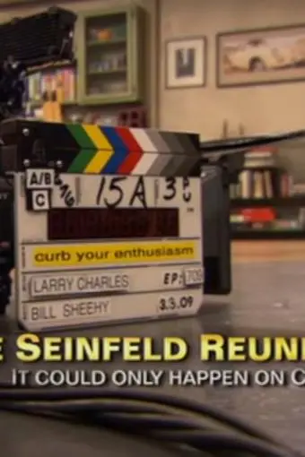 The Seinfeld Reunion: It Could Only Happen on Curb_peliplat