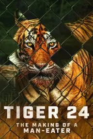 Tiger 24_peliplat