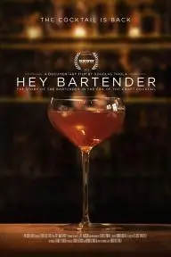 Hey Bartender_peliplat