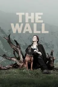 The Wall_peliplat