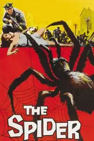The Spider_peliplat