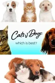 Cats v Dogs: Which Is Best?_peliplat