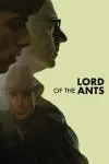 Lord of the Ants_peliplat