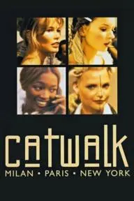 Catwalk_peliplat