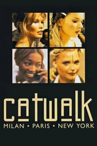 Catwalk_peliplat