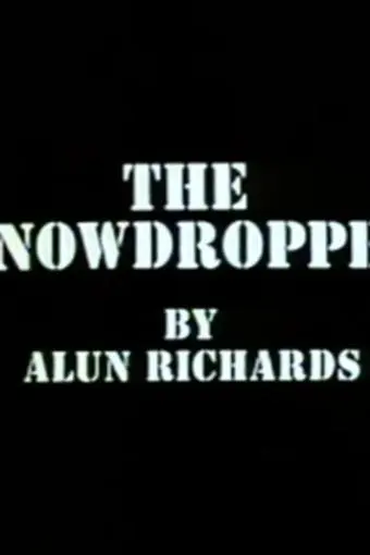The Snowdropper_peliplat