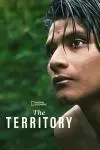 The Territory_peliplat