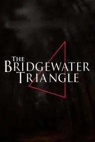 The Bridgewater Triangle_peliplat
