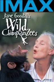 Jane Goodall's Wild Chimpanzees_peliplat