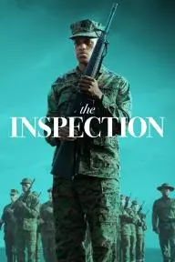 The Inspection_peliplat