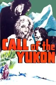 Call of the Yukon_peliplat