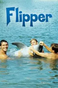 Flipper_peliplat