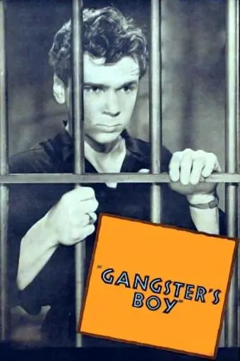 Gangster's Boy_peliplat