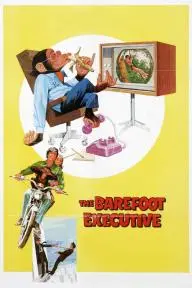 The Barefoot Executive_peliplat