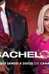 The Bachelor - Afrique_peliplat