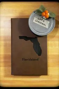 Floridaland_peliplat