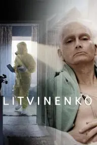 Litvinenko_peliplat