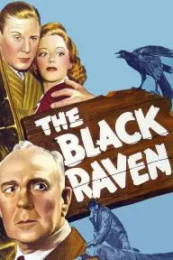 The Black Raven_peliplat