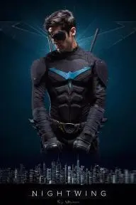 Nightwing: The Series_peliplat
