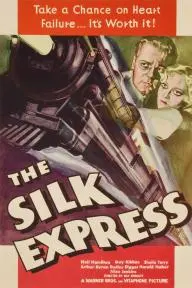 The Silk Express_peliplat