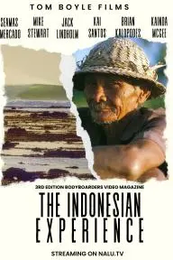 The Indonesian Experience_peliplat