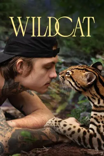 Wildcat_peliplat