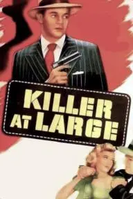 Killer at Large_peliplat