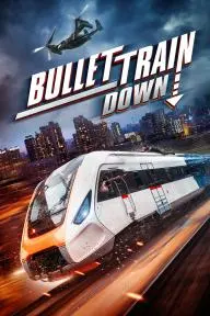 Bullet Train Down_peliplat